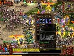 战士:我眼中的坚韧与荣耀 热血传奇私服